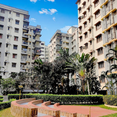 Bengal Peerless Alaktika